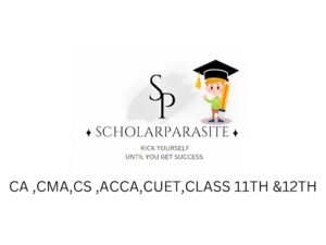 What Are the Best Study Strategies for CA Exams? – Scholar Parasite